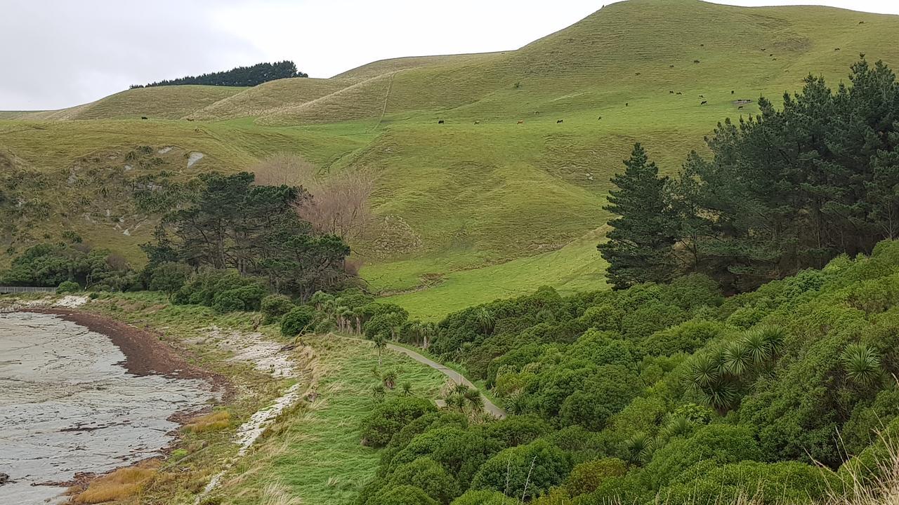 K'orca Cottage Kaikoura Esterno foto