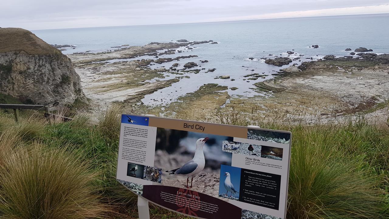 K'orca Cottage Kaikoura Esterno foto